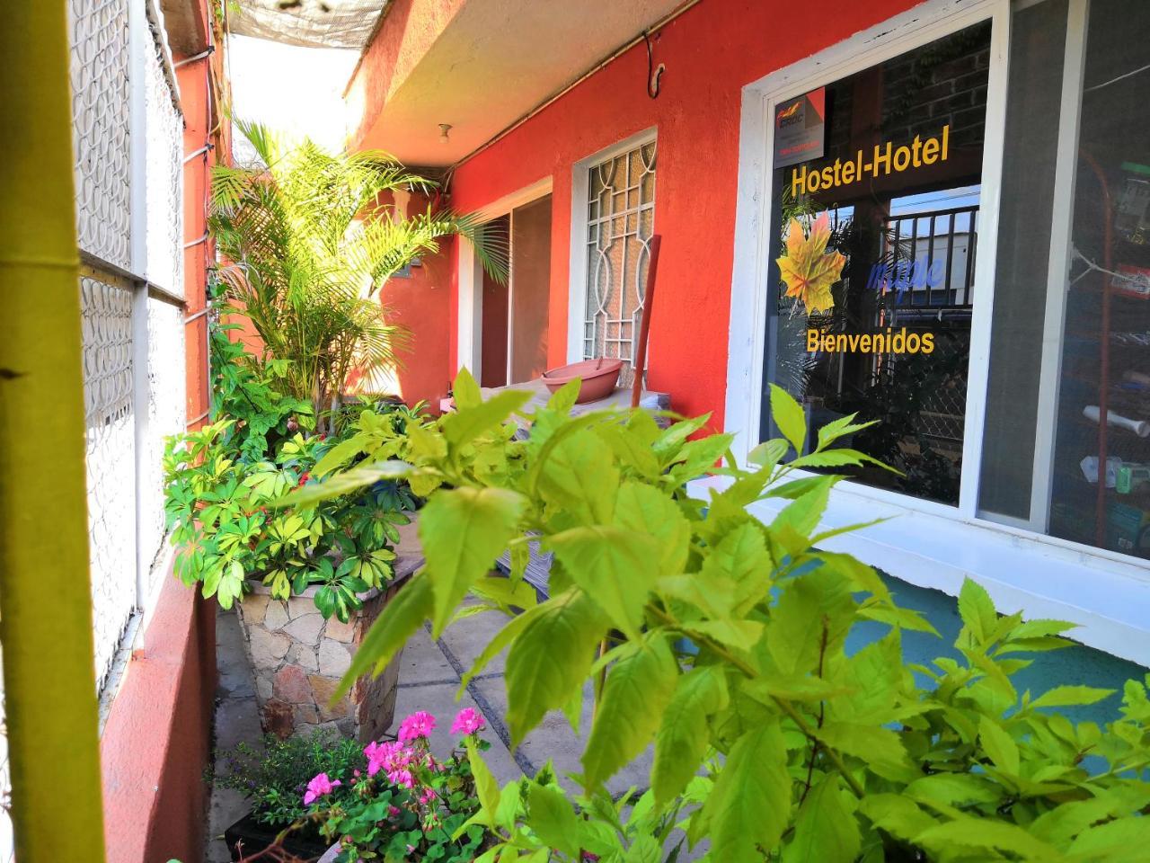 Hostal Maple Querétaro Exterior foto